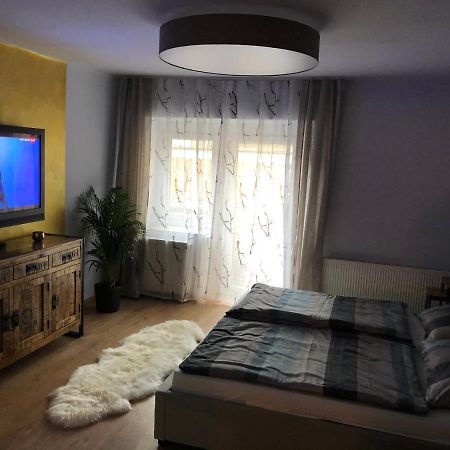 Wohlfuehlappartment In Der Altstadt Von Steyr Exteriör bild